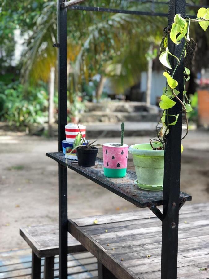 Crucero Tulum Bed & Breakfast Exterior photo