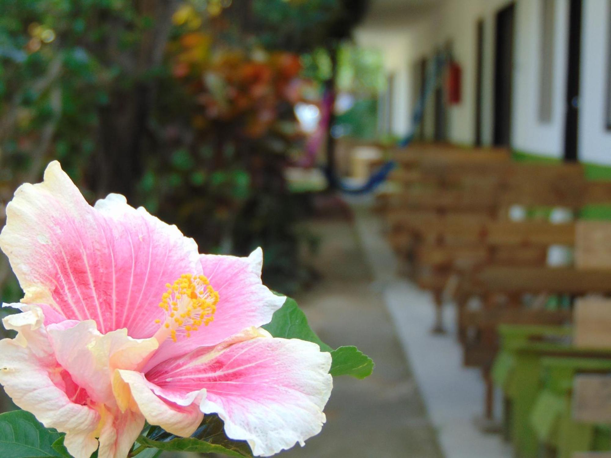 Crucero Tulum Bed & Breakfast Exterior photo
